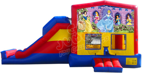 Princess Jumper Combo w/ Slide | Dolphins Jumpers | Party Rentals