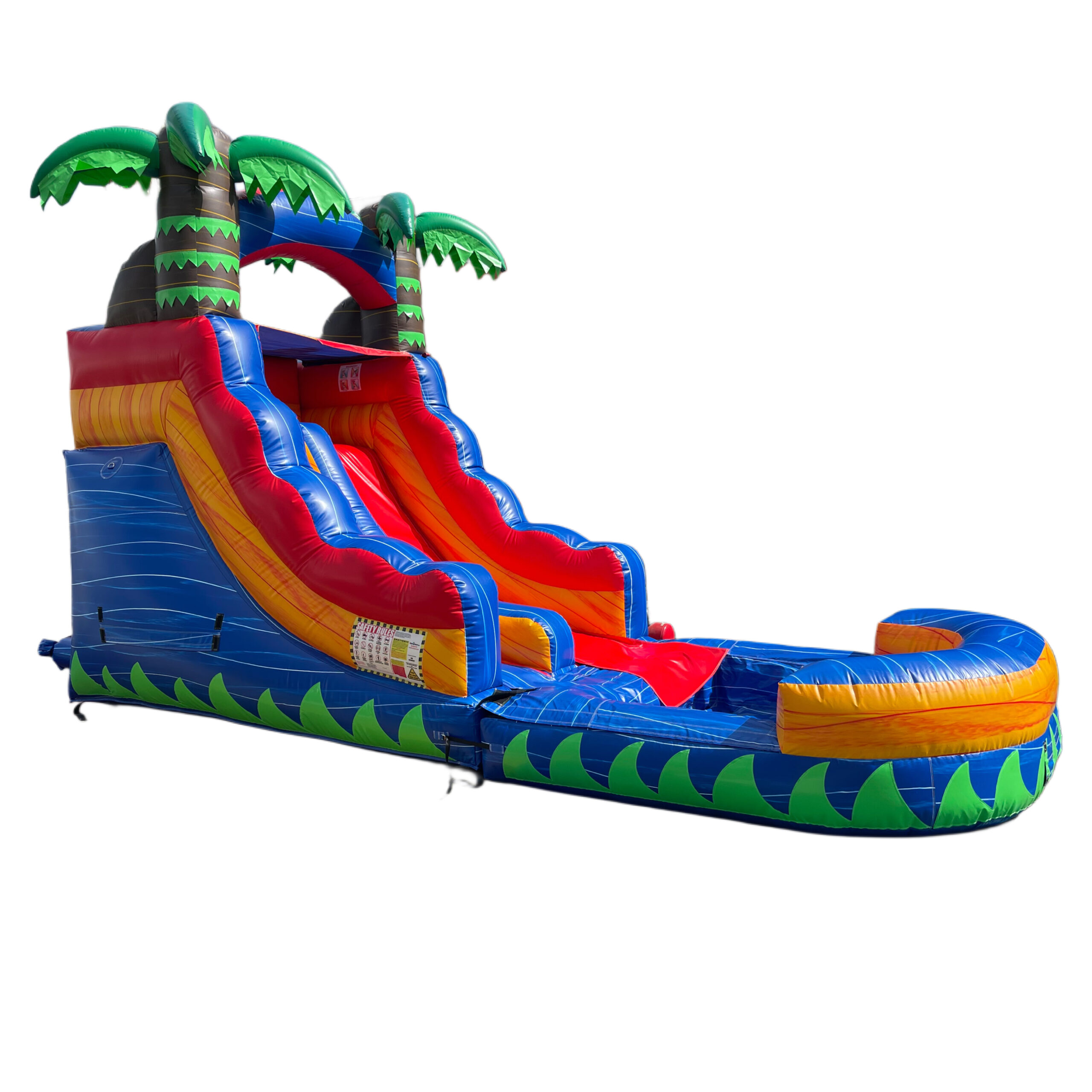 Dolphins Water Slide Bouncer Rental