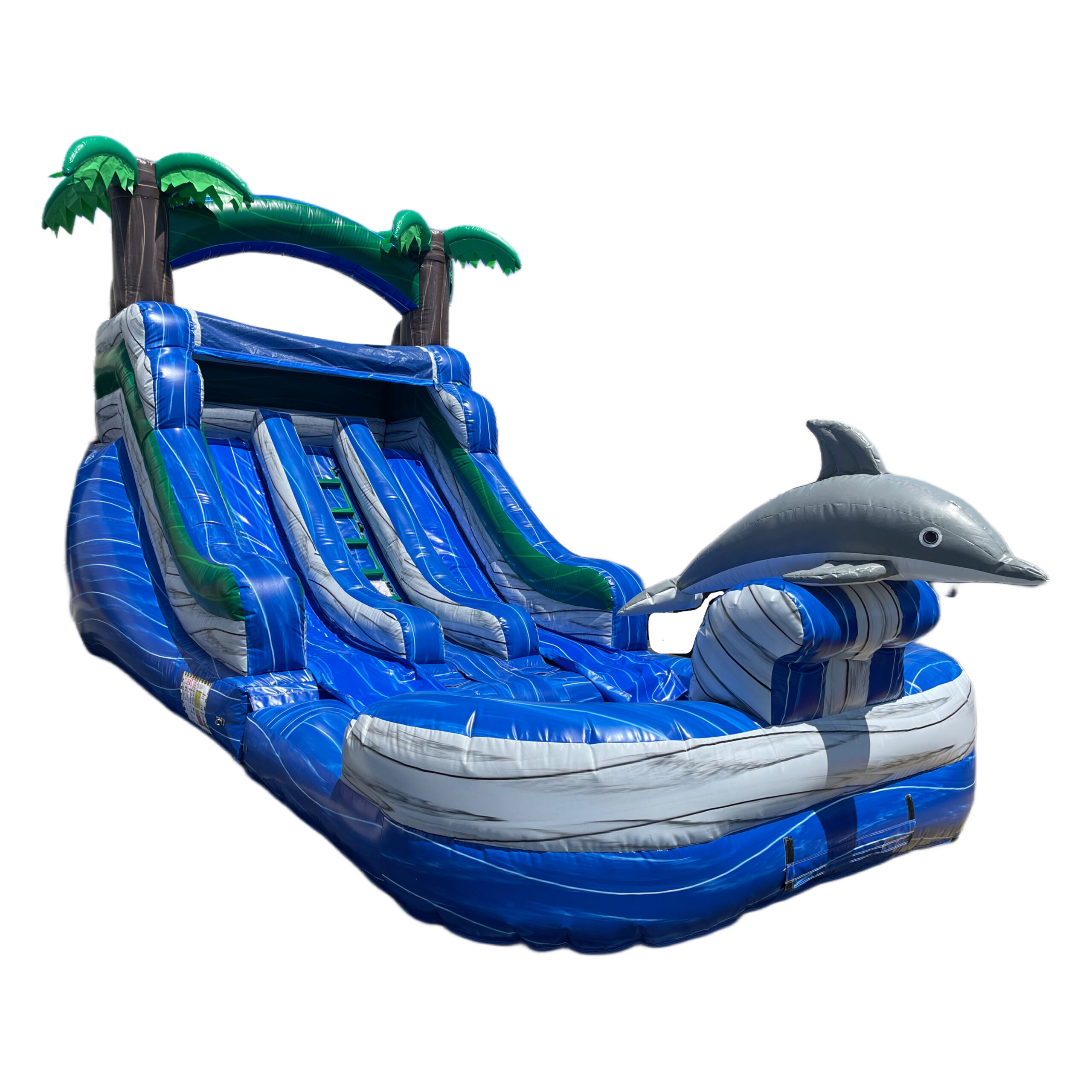 Dolphins Water Slide Rental